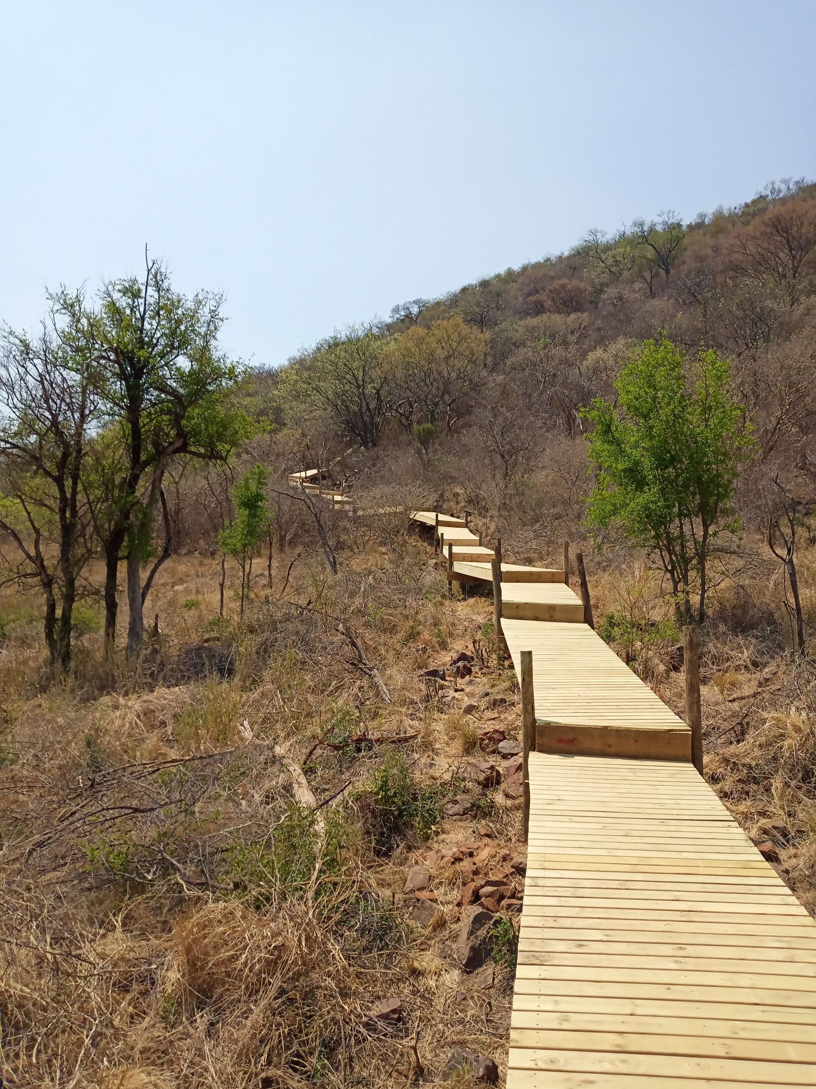 Pergolas & Decking — project 3